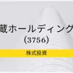 豆蔵ホールディングス（3756）事業分析、株価｜AI、IoT、BigData注目小型株